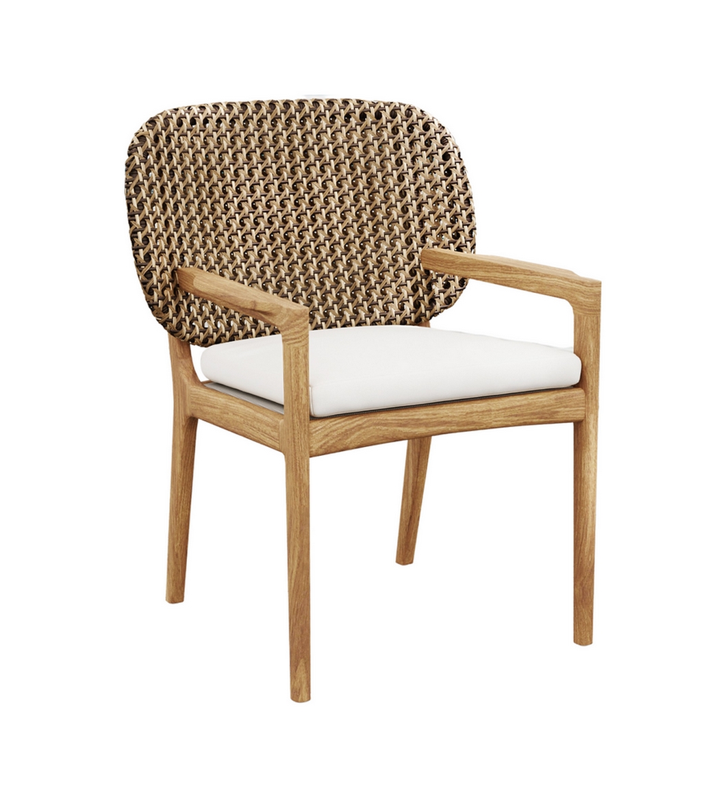 Akyee Dining Chair