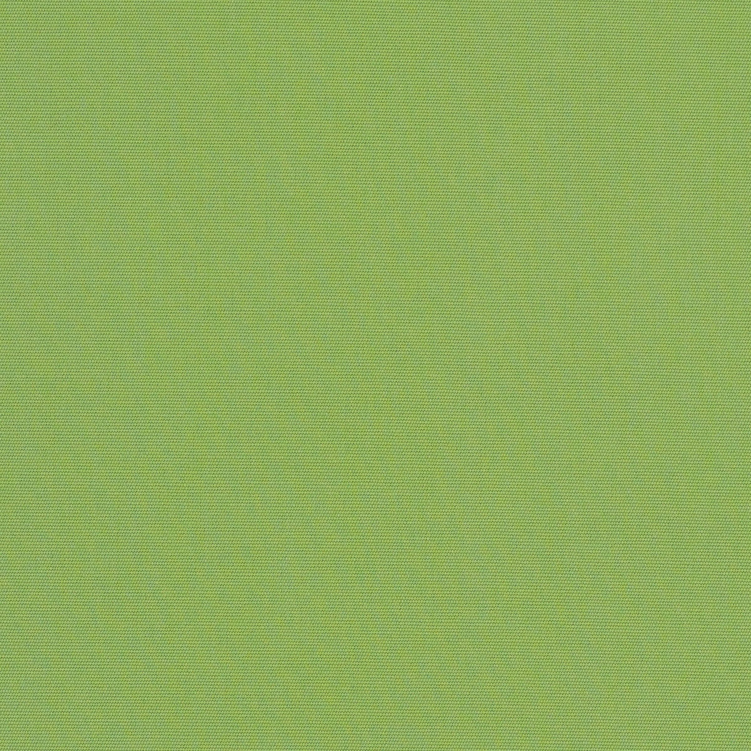 Canvas Ginkgo