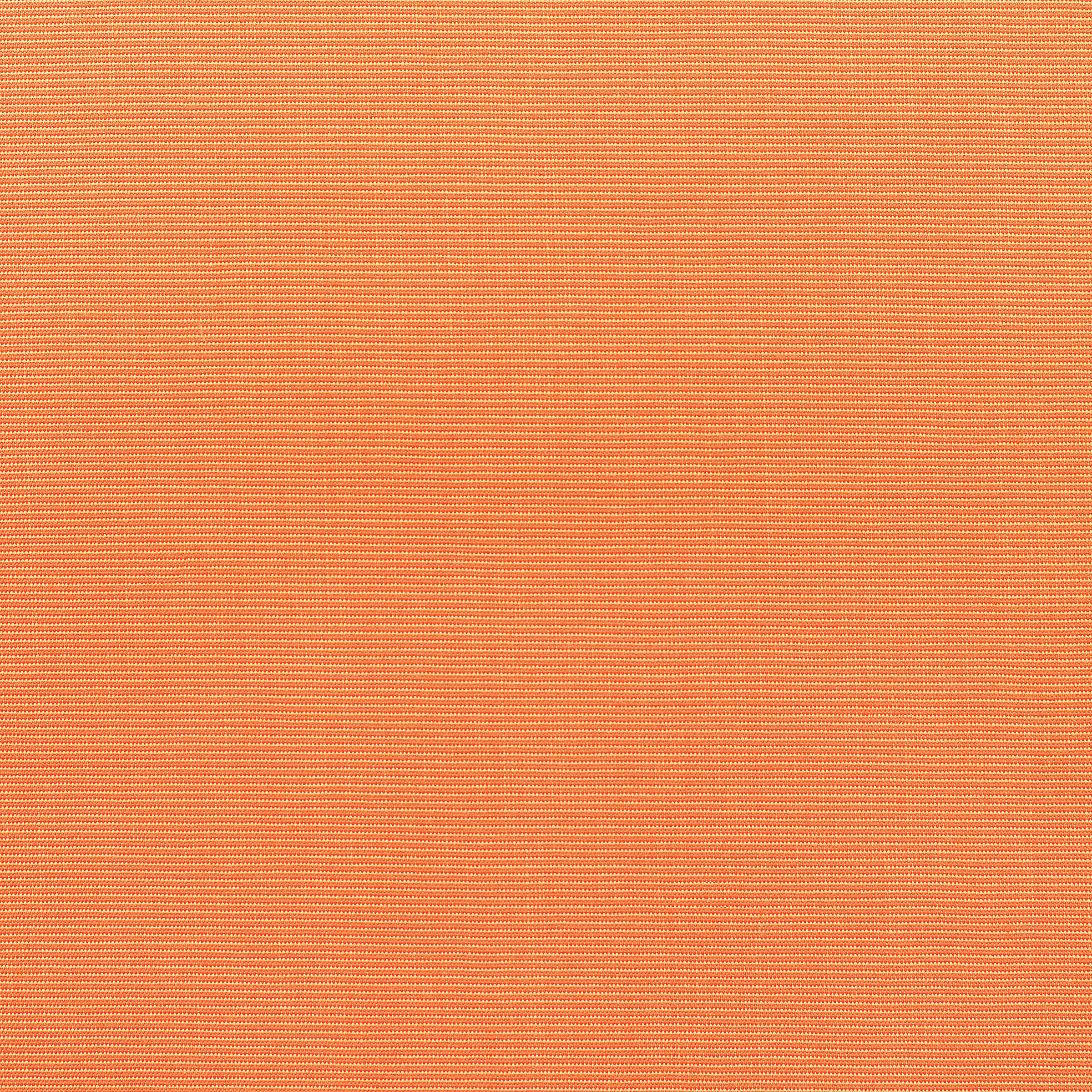 Canvas Tangerine