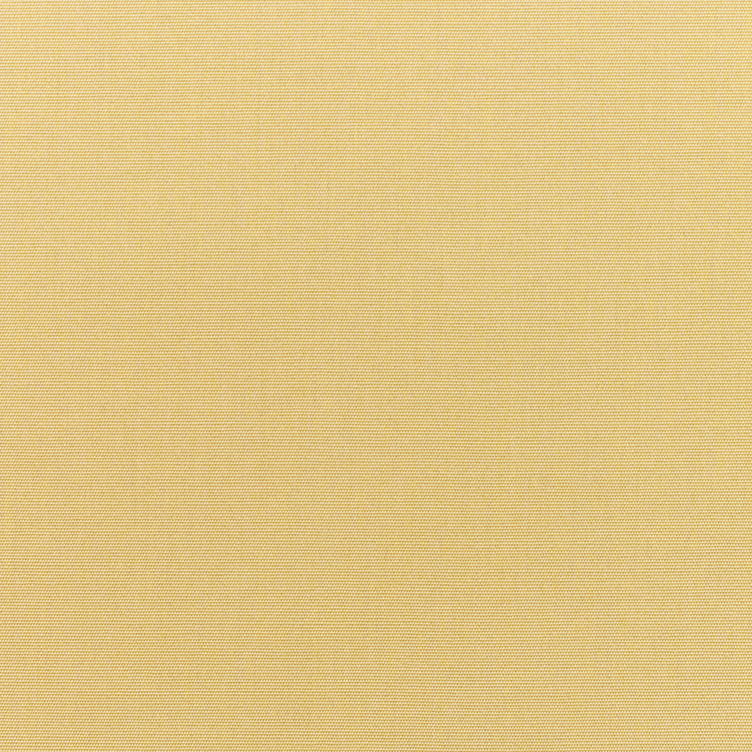 Canvas Wheat