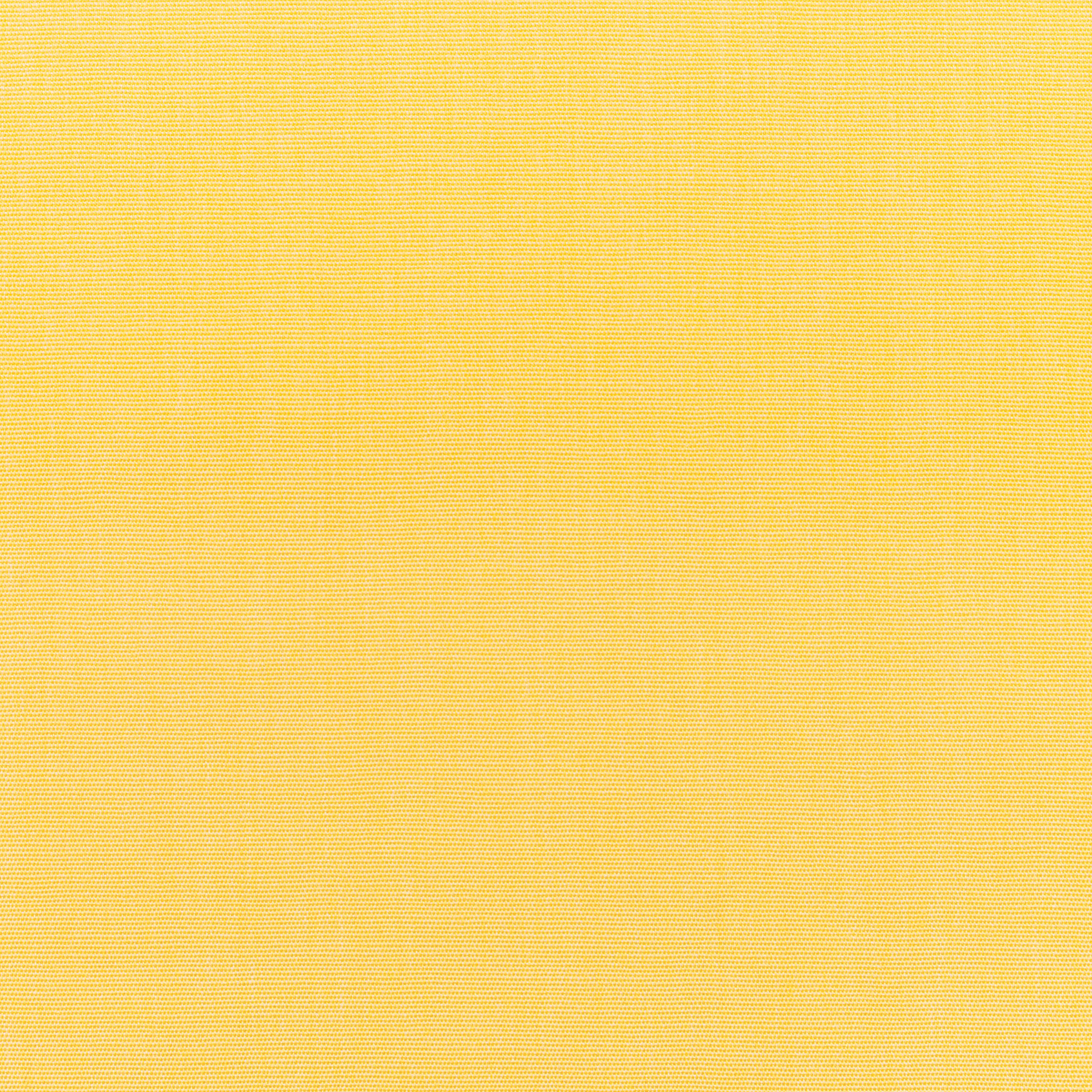 Canvas Buttercup