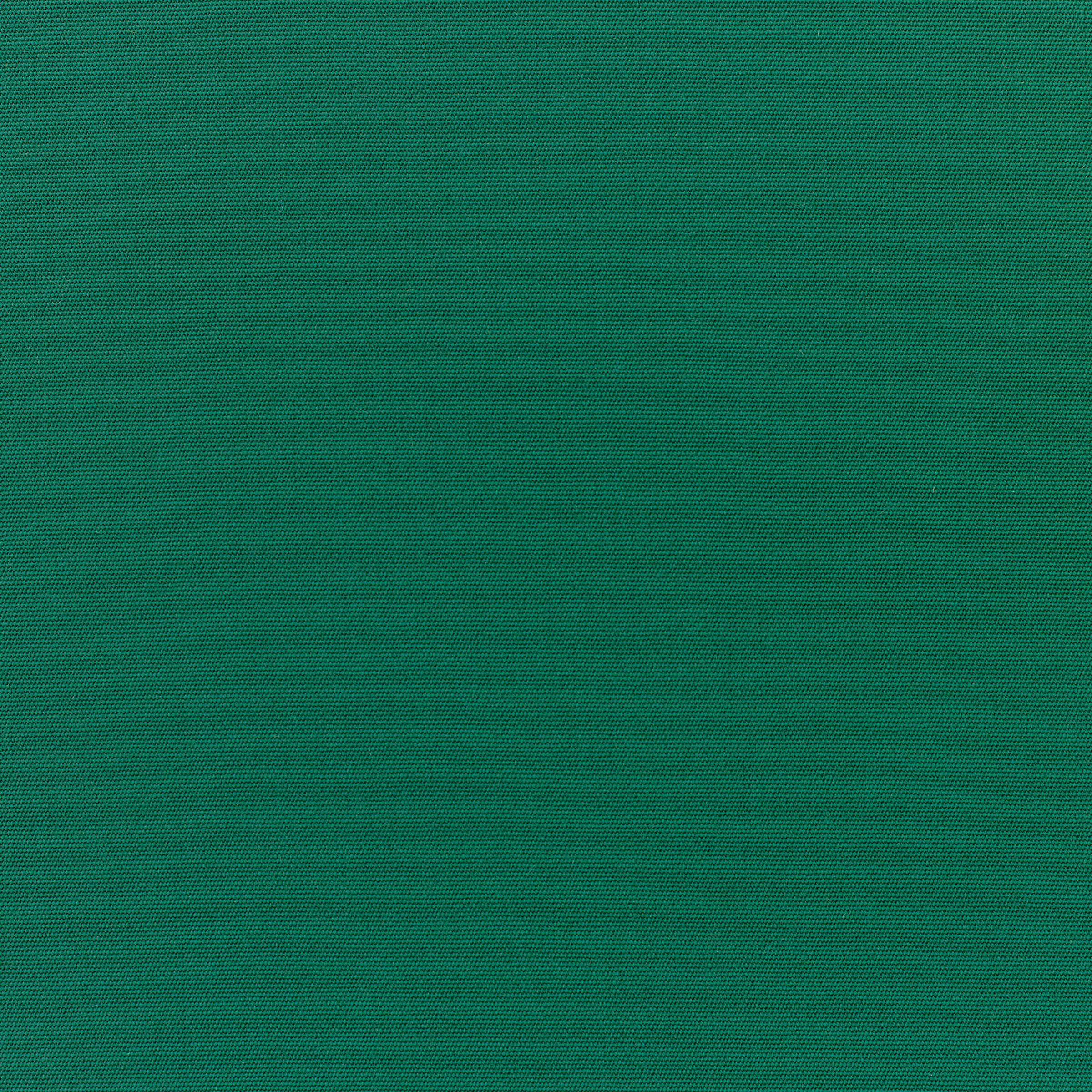 Canvas Forest Green