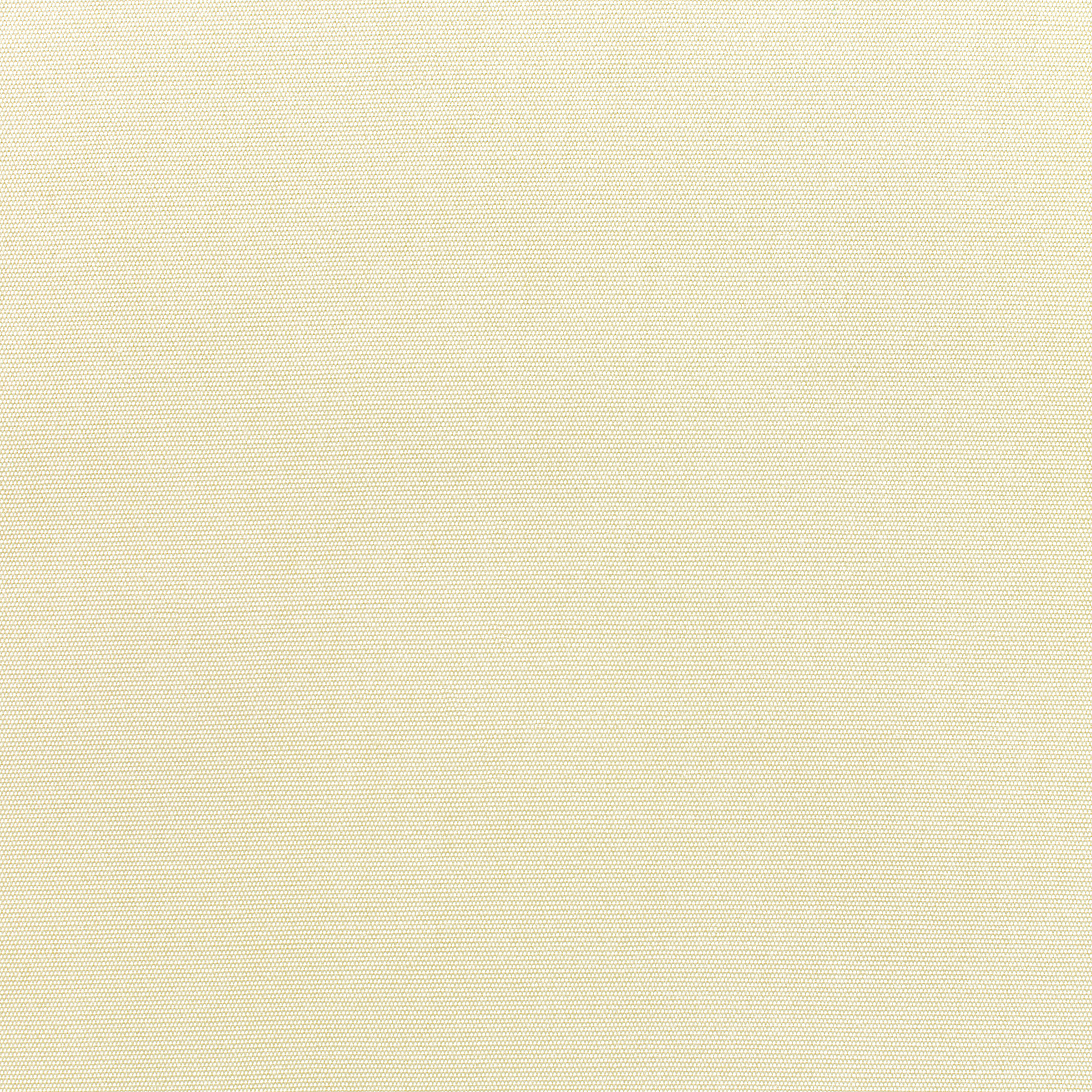 Canvas Canvas
