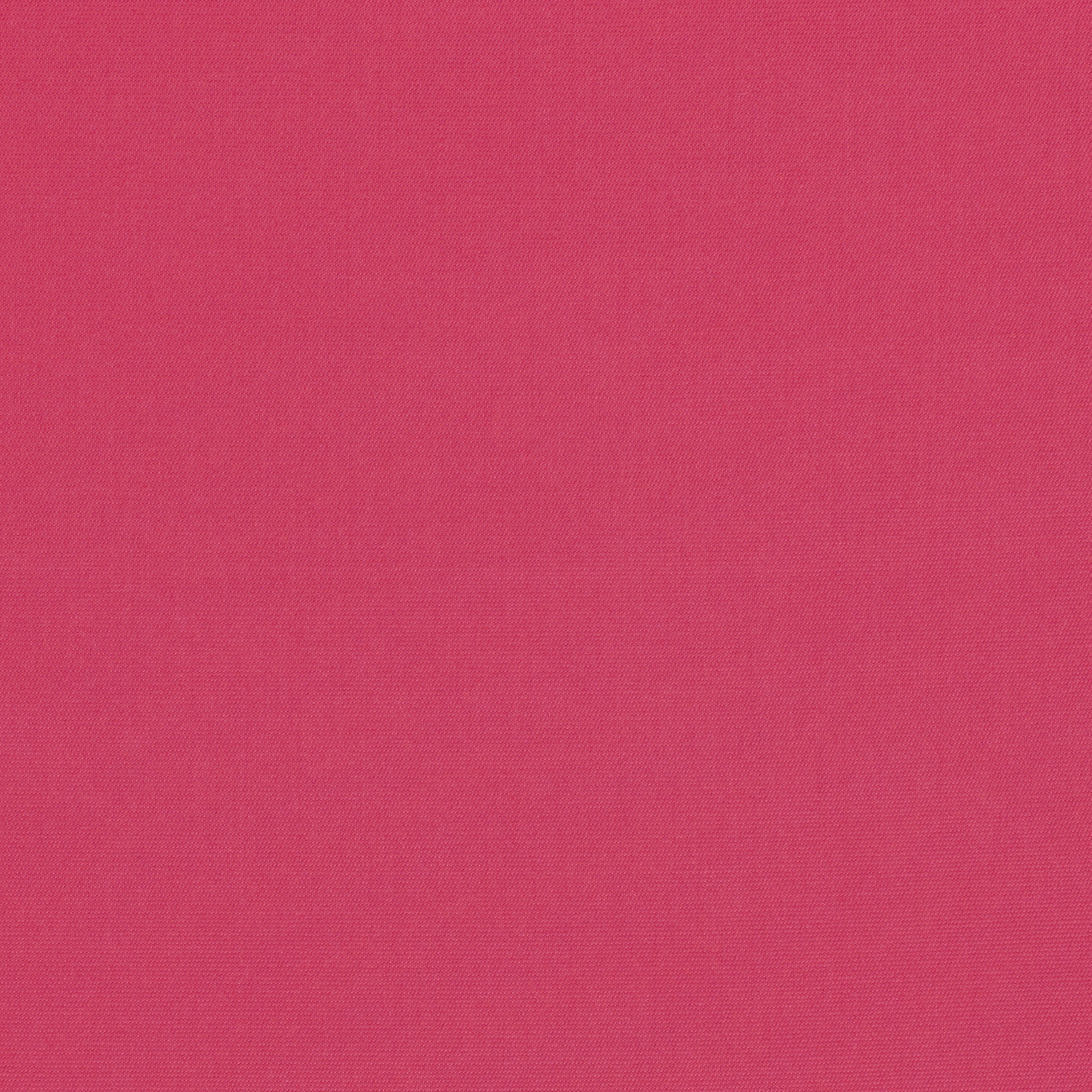 Canvas Hot Pink