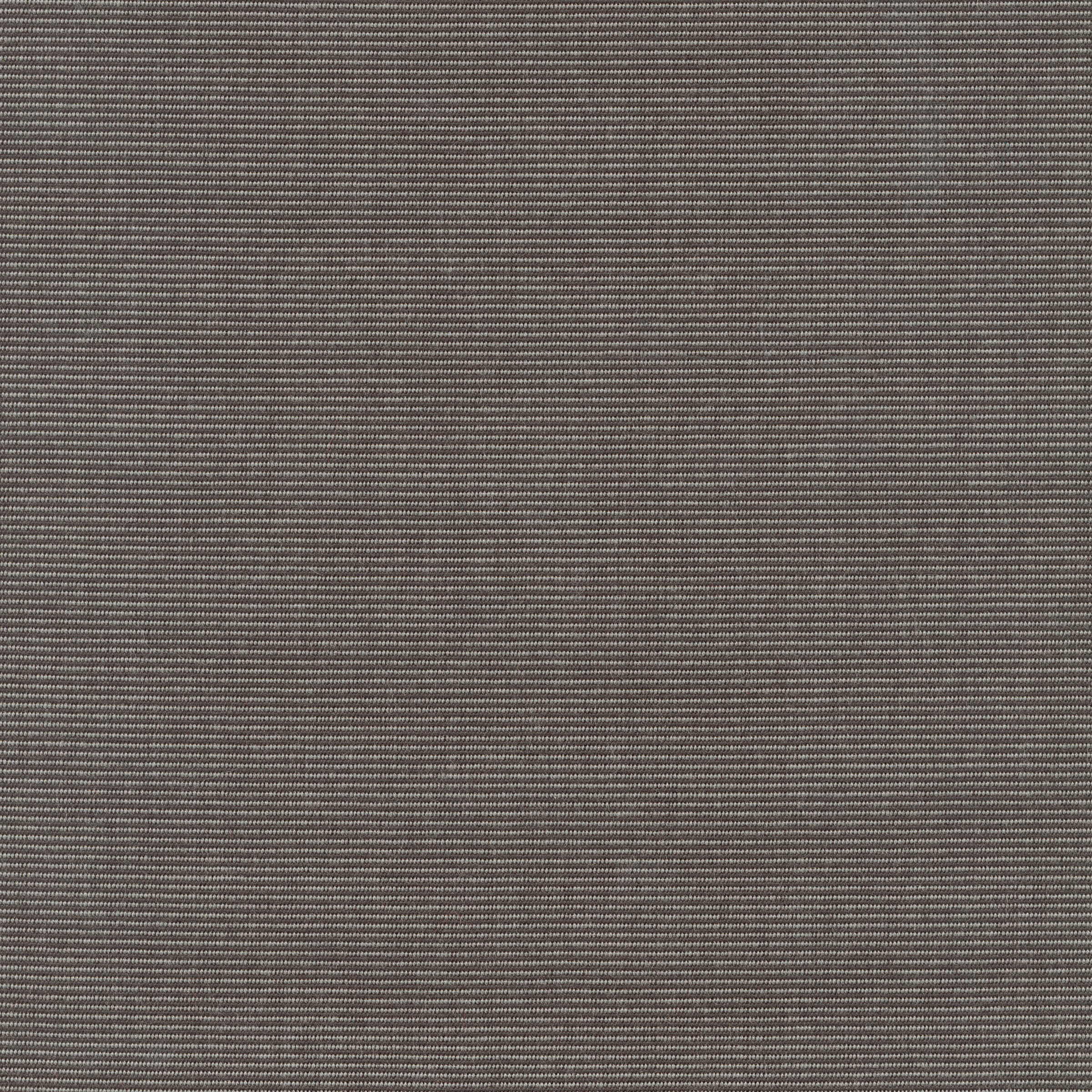 Canvas Coal
