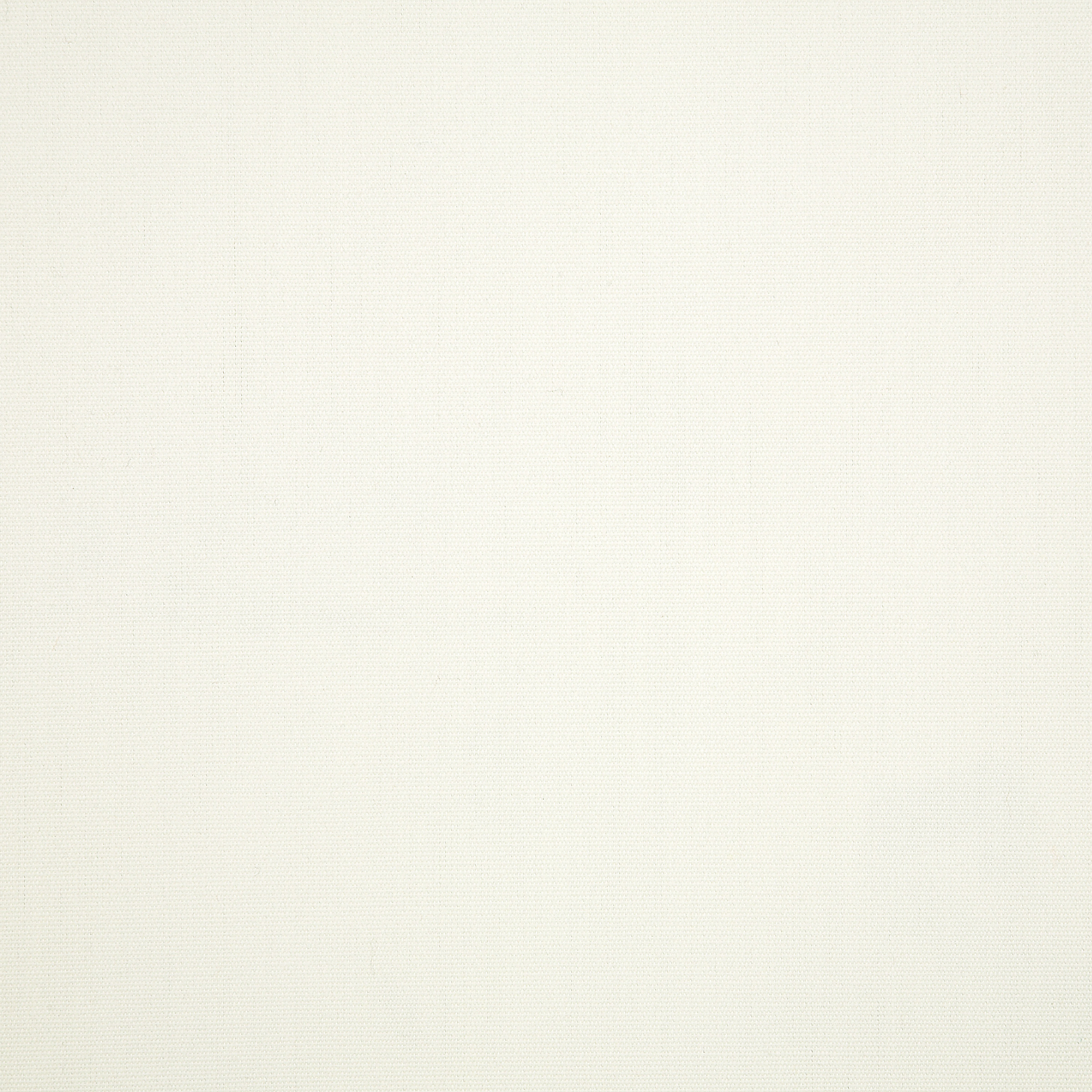 Canvas White